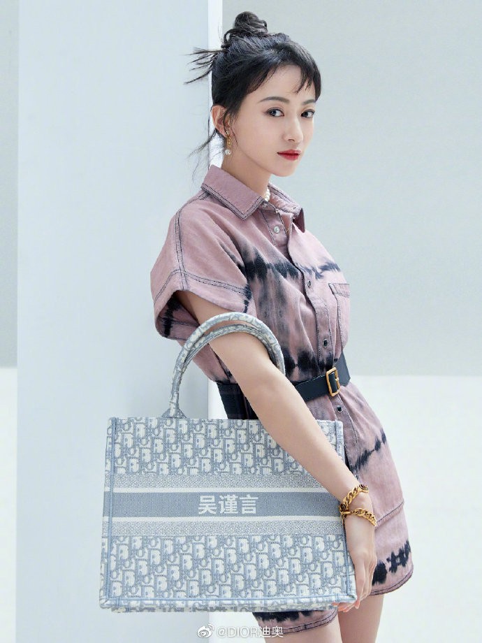 Dior Book Tote 中文刺繡