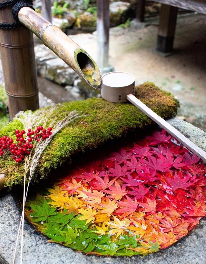 繡球花手水舍, 日本花手水舍, 日本繡球花手水舍,