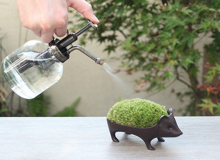 日本小刺蝟青銅盆栽