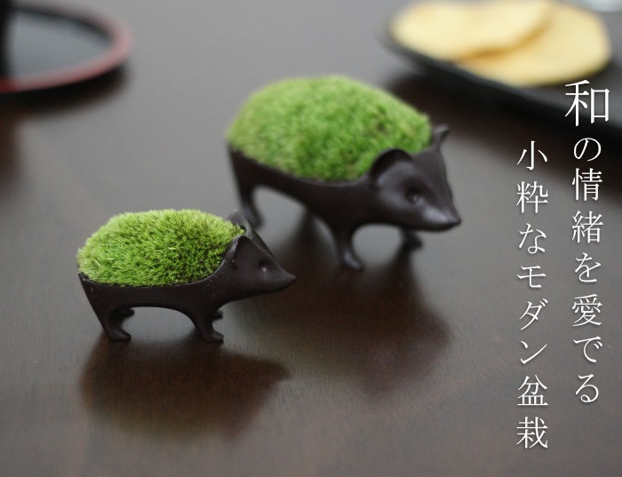 日本小刺蝟青銅盆栽