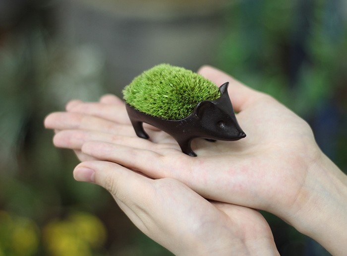 96120970_2901141556635617_3794467975243759616_n