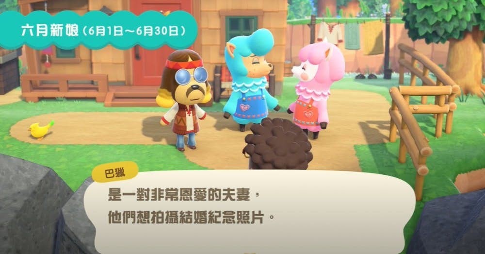 《動物森友會》「六月新娘」活動攻略道具獲得方法