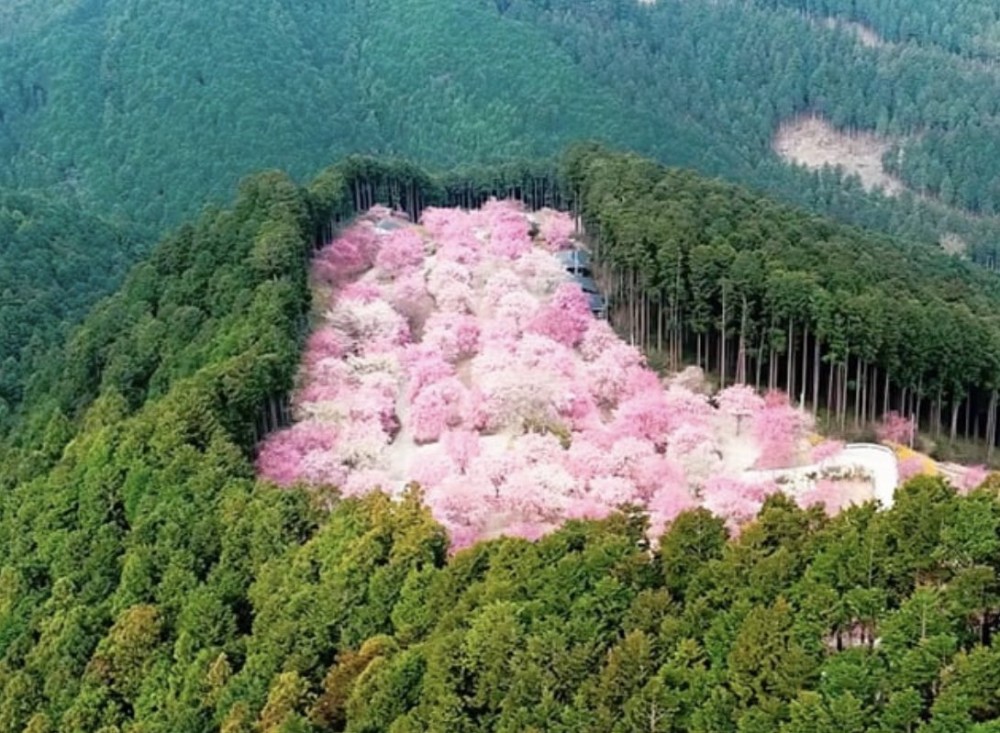 天空の庭