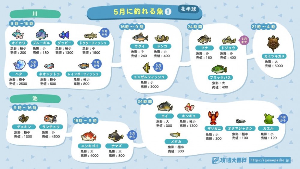 動物森友會　5月魚類