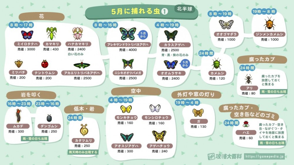 動物森友會　5月昆蟲