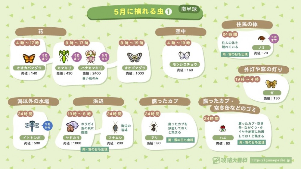 動物森友會5月昆蟲