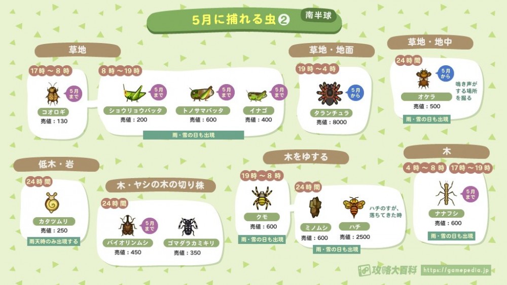 動物森友會5月昆蟲