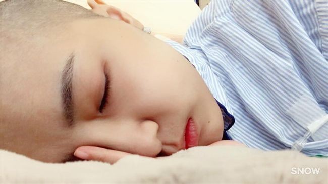 薇薇Freddy每天寫一封信