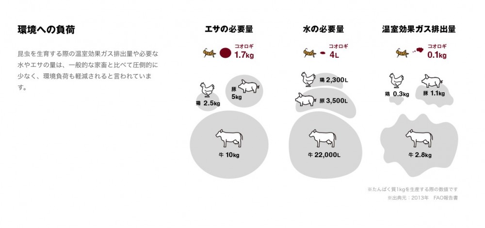 日本無印良品MUJI蟋蟀仙貝 味道像蝦
