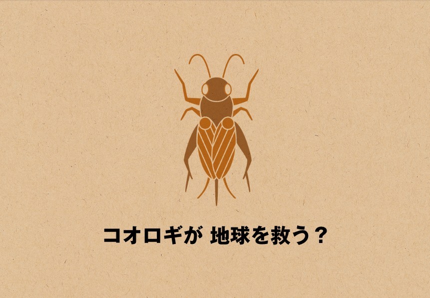 日本無印良品MUJI蟋蟀仙貝 昆蟲食品救地球」味道像