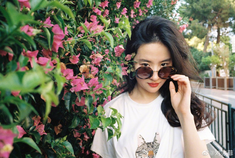 劉亦菲, 花木蘭, 試鏡, 撐警