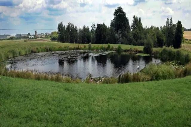 《天線得得B》冷知識