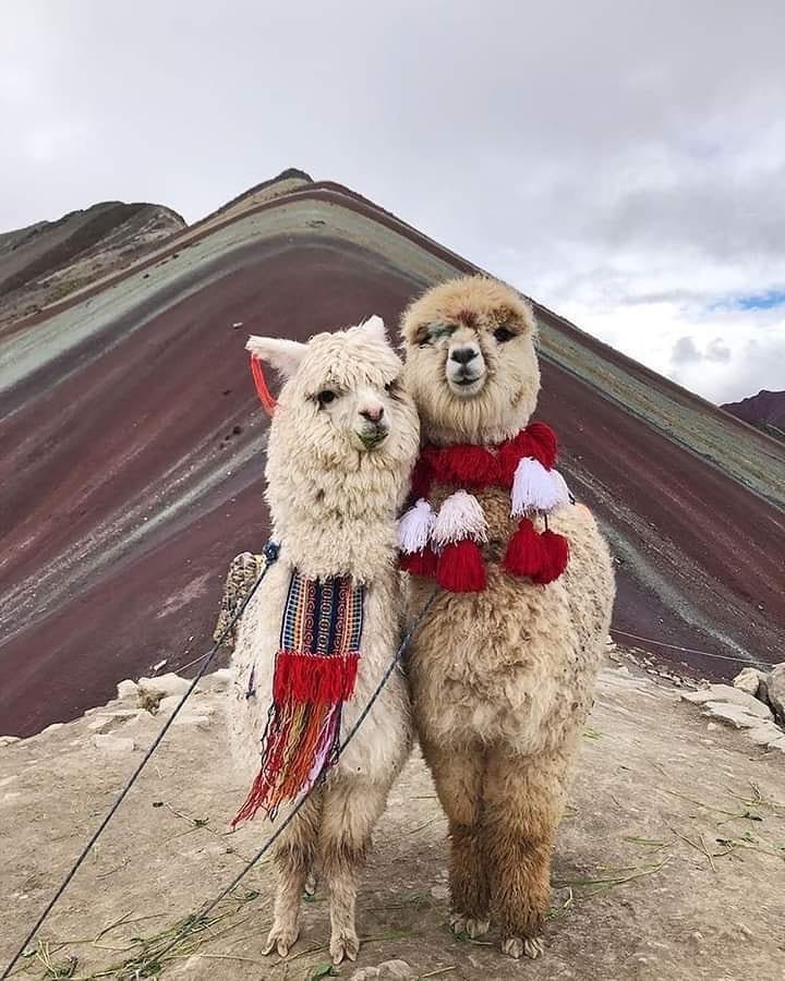 【秘魯景點推介】彩虹山Vinicunca
