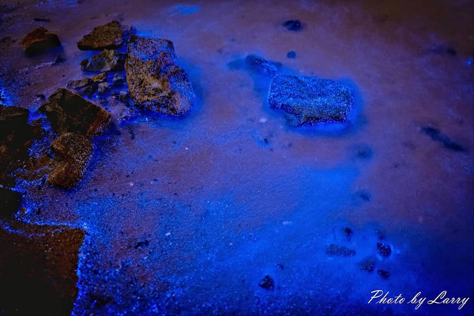 台灣超夢幻『馬祖藍眼淚』