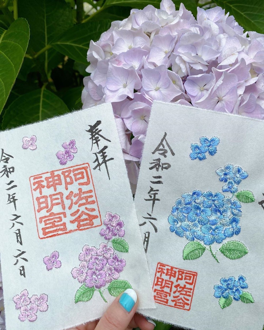 日本繡球花朱印, 繡球花御朱印, 日本神社2020, 日本神社, 日本繡球花, 日本紫陽花