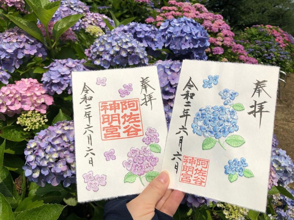 日本繡球花朱印, 繡球花御朱印, 日本神社2020, 日本神社, 日本繡球花, 日本紫陽花