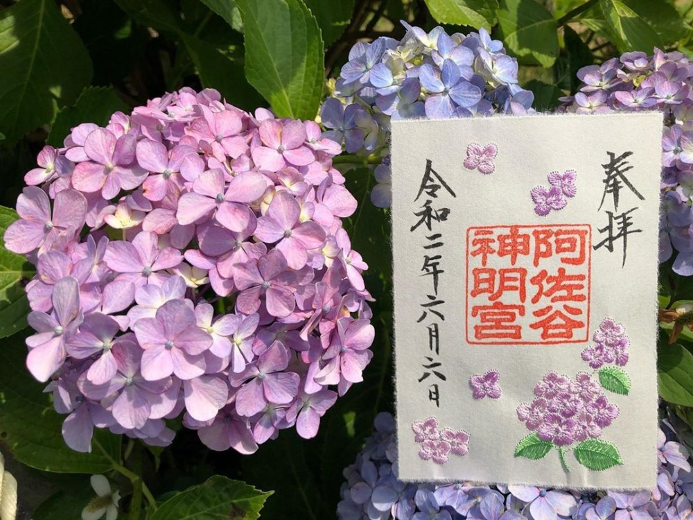 日本繡球花朱印, 繡球花御朱印, 日本神社2020, 日本神社, 日本繡球花, 日本紫陽花