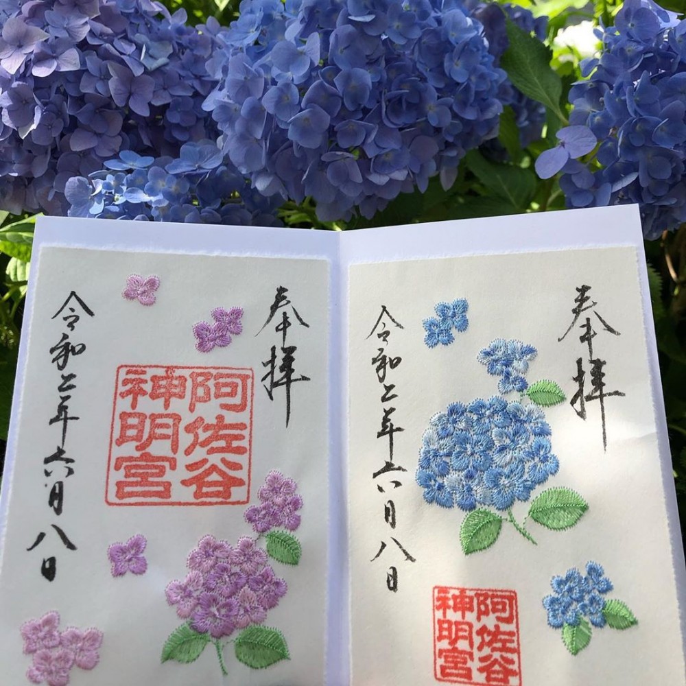日本繡球花朱印, 繡球花御朱印, 日本神社2020, 日本神社, 日本繡球花, 日本紫陽花