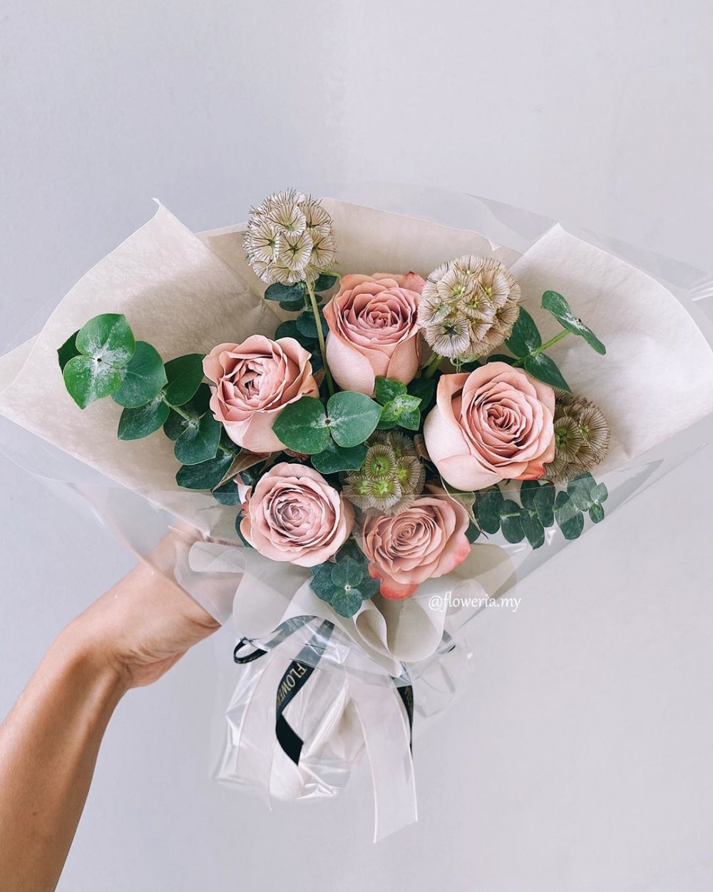 拿鐵玫瑰, Cappucino rose, 花,