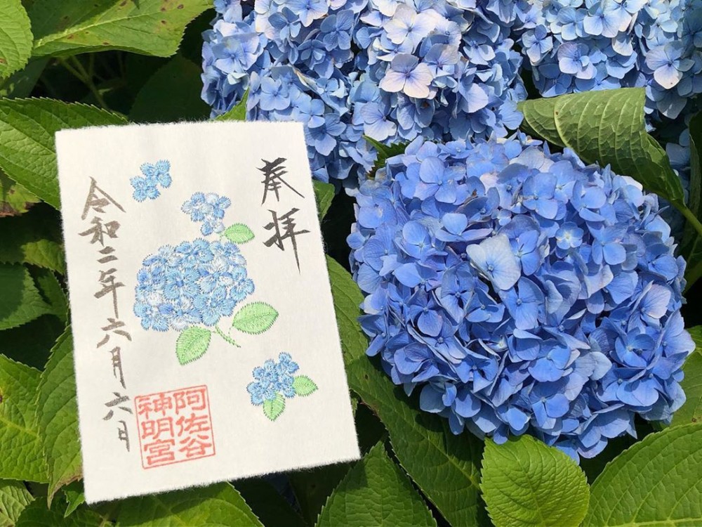 日本繡球花朱印, 繡球花御朱印, 日本神社2020, 日本神社, 日本繡球花, 日本紫陽花