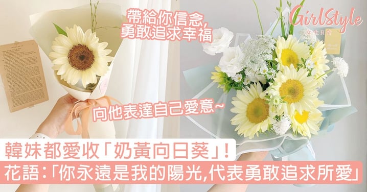 韓妹都愛收 奶黃向日葵 浪漫花語 你永遠是我的陽光 代表勇敢追求所愛 Girlstyle 女生日常 韓妹都愛收 奶黃向日葵 浪漫花語 你永遠是我的陽光 代表勇敢追求所愛 Girlstyle 女生日常