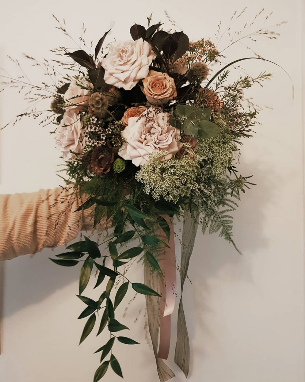 拿鐵玫瑰, Cappucino rose, 花,