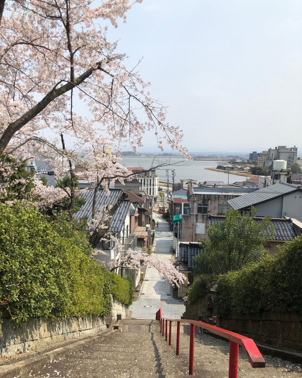 日本愛染寺愛心繪馬, 日本愛染寺, 愛心繪馬, 日本繪馬, 日本神社, 戀愛神社