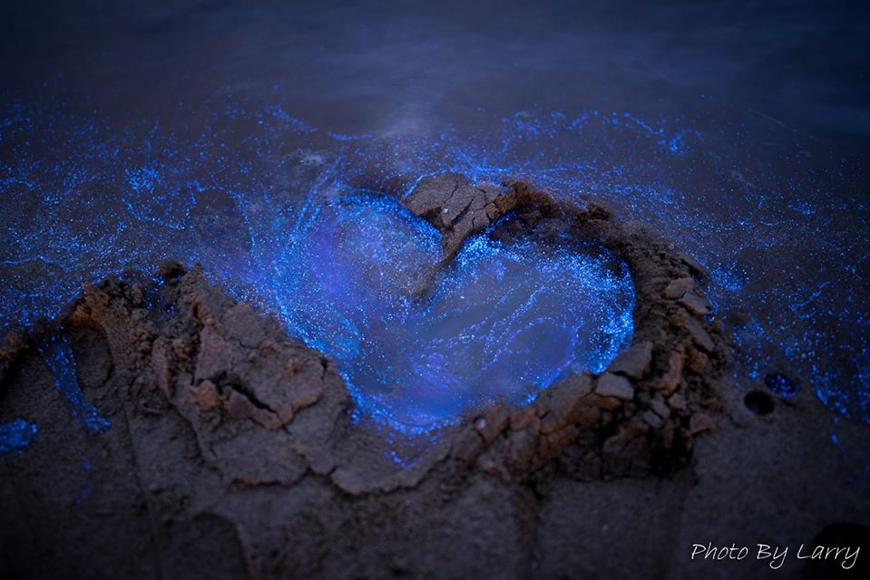 台灣超夢幻『馬祖藍眼淚』