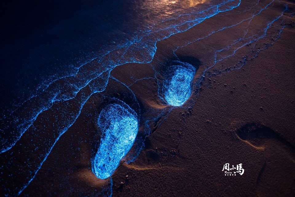 台灣超夢幻『馬祖藍眼淚』