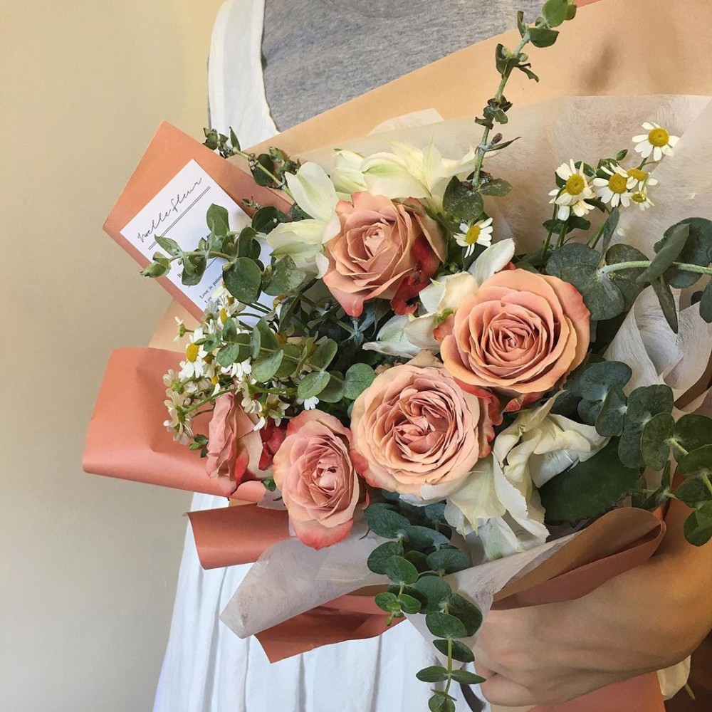 拿鐵玫瑰, Cappucino rose, 花,