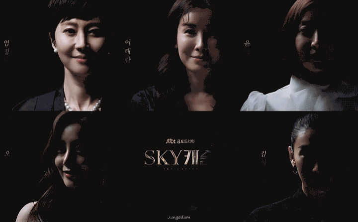 JTBC《優雅的朋友們》,《優雅的朋友們》, 《夫妻的世界》, 《Sky Castle》,韓劇2020
