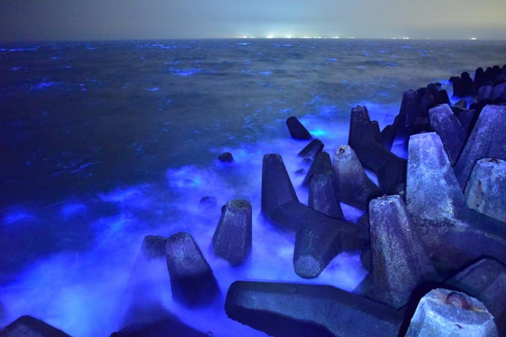 台灣超夢幻『馬祖藍眼淚』