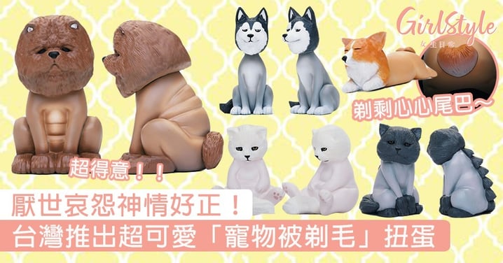 台灣推出超可愛「寵物被剃毛」扭蛋！神還原毛小孩剃光後的厭世哀怨神情，超想扭齊一套～