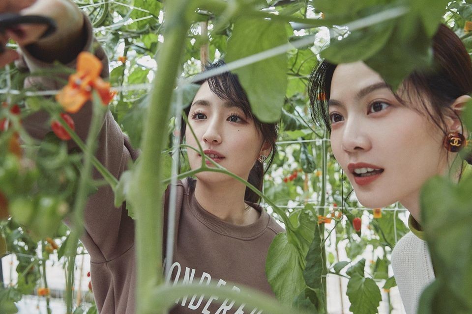 好姊妹, 閨蜜, 友情, 友誼