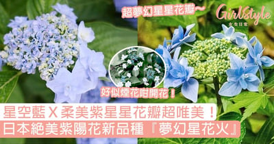 紫陽花星花火星花火 Girlstyle 女生日常