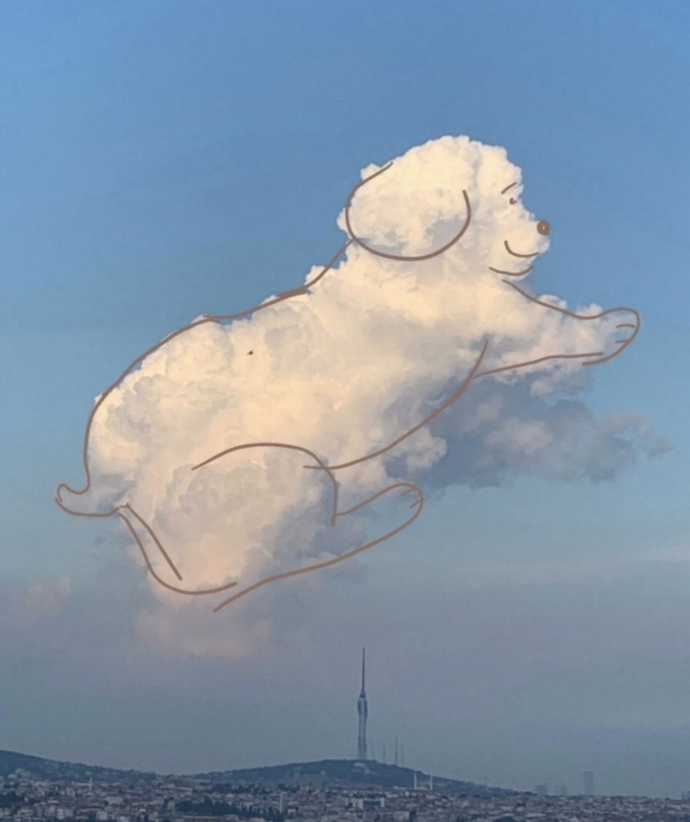 這位土耳其網民在伊斯坦堡拍下這雲朵,看起來就像是一隻小白狗向天空高處奔跑著的樣子!而這位網民也後期加工,勾畫小狗的形狀,讓這雲朵看起來更像真!
