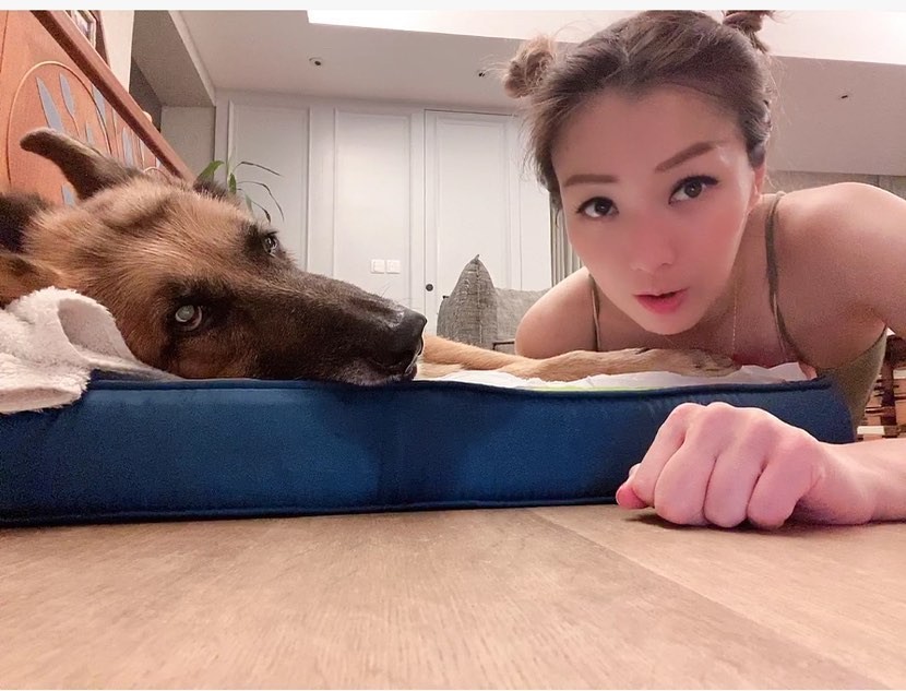 鄭秀文15歲愛犬Lucky肌肉流失兼失禁!Sammi不離不棄照顧長文心聲超催淚
