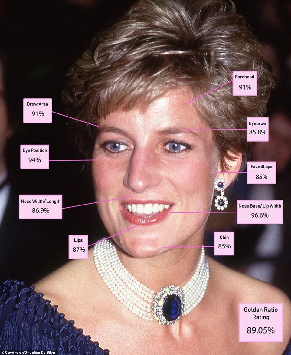 戴安娜王妃 Princess Diana黃金比例