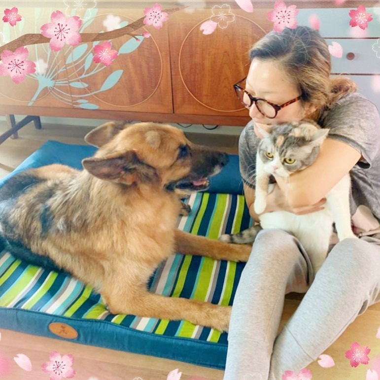 鄭秀文15歲愛犬Lucky肌肉流失兼失禁!Sammi不離不棄照顧長文心聲超催淚