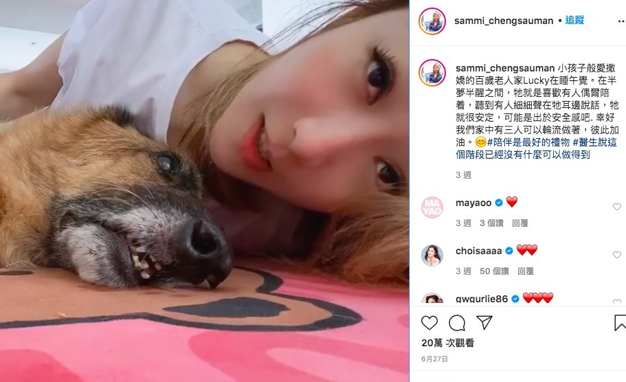 鄭秀文15歲愛犬Lucky肌肉流失兼失禁!Sammi不離不棄照顧長文心聲超催淚