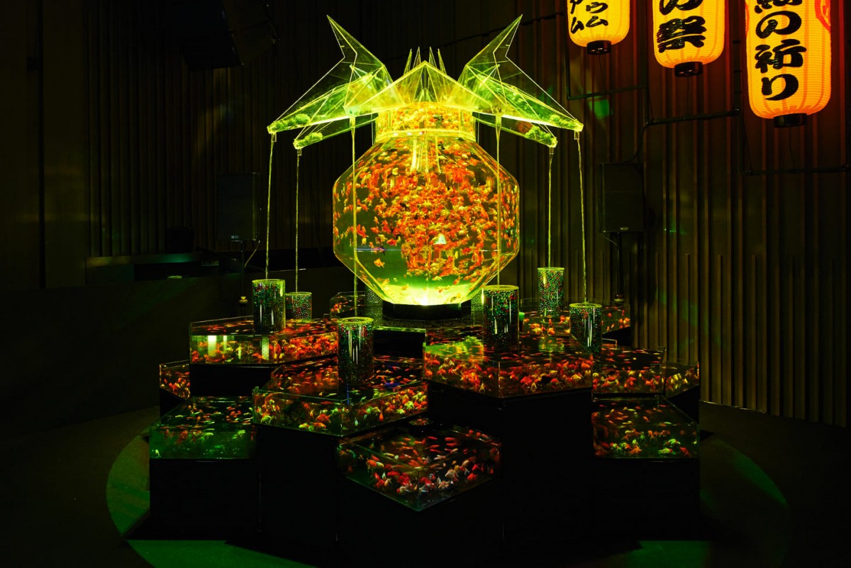 日本東京夢幻「Art Aquarium金魚藝術展」過萬金魚於玻璃中游曳