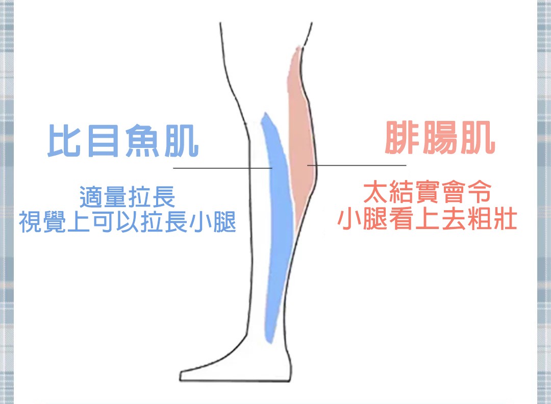 【瘦小腿】減肌肉小腿動作4組 14天輕鬆瘦腿5cm