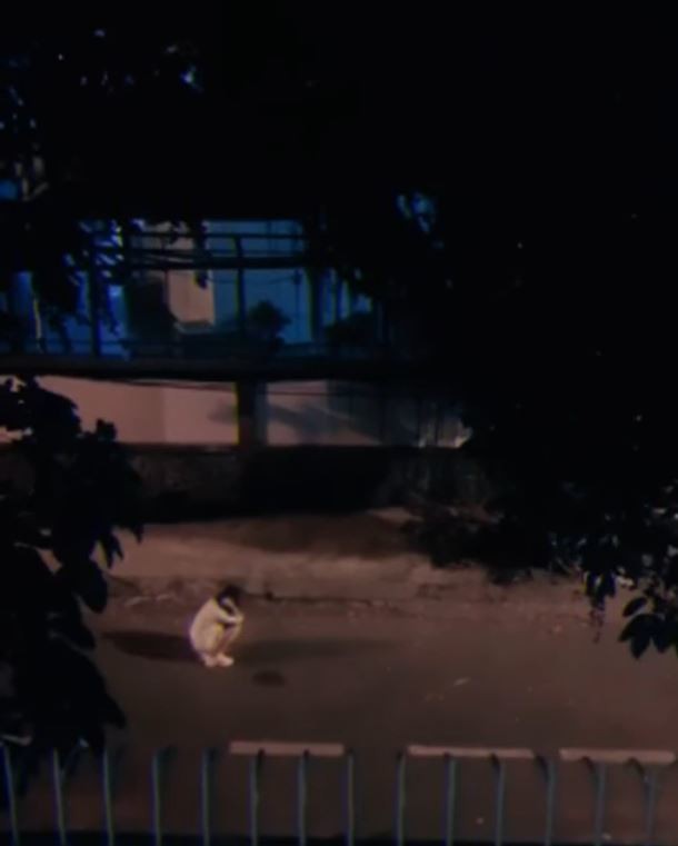 不少網民看見影片後都表示傻眼：「這已經不是友情，是另一種愛情吧！那個女生一定很痛苦T^T」、「趕快找另一個⋯不！你找你的『藍顏知己』來做一模一樣的行為，報復他！」、「其實這個男生一直愛著『紅粉知己』，只是用著友情的名義來單戀罷了」、「這位『紅粉知己』面皮還真厚！」