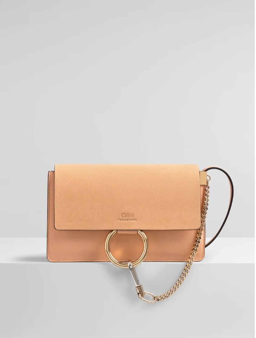 Chloe, YSL, LV, Celine, Loewe, Bottega Veneta 