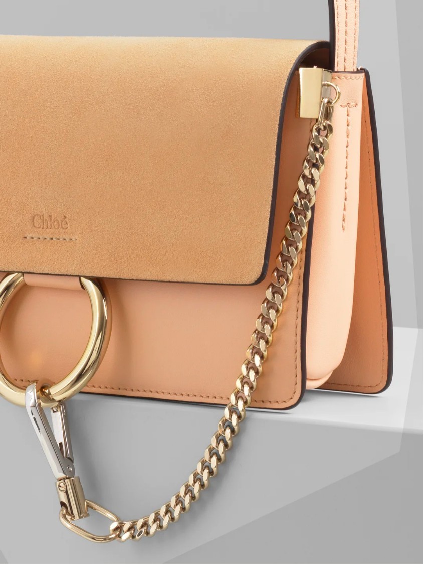 Chloe, YSL, LV, Celine, Loewe, Bottega Veneta 