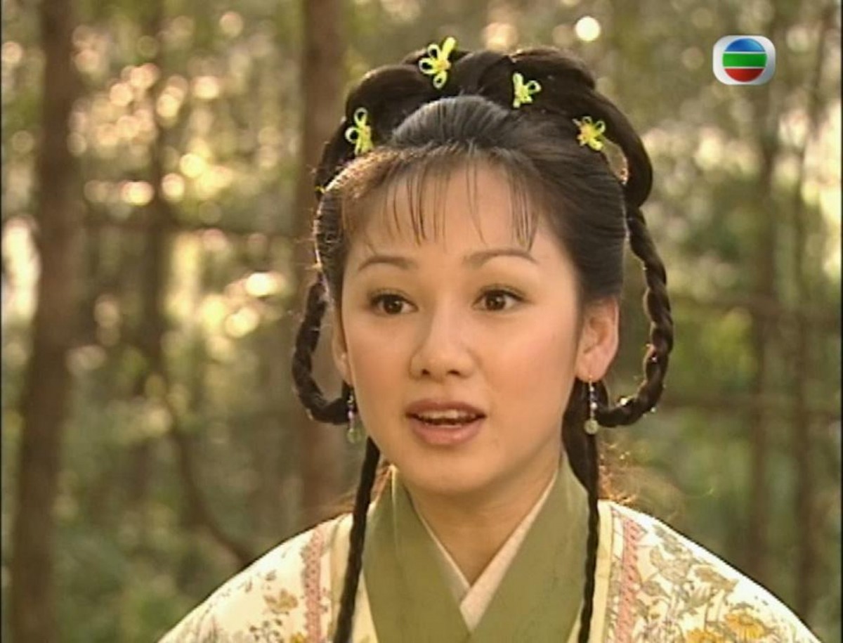 嘉碧儀在香港娛樂圈的時間很短暫,於2003-2005年出演劇集,2005年決定退出娛樂圈,到美國修讀未完成的法律課程,於2008年畢業,並選擇於美國定居。