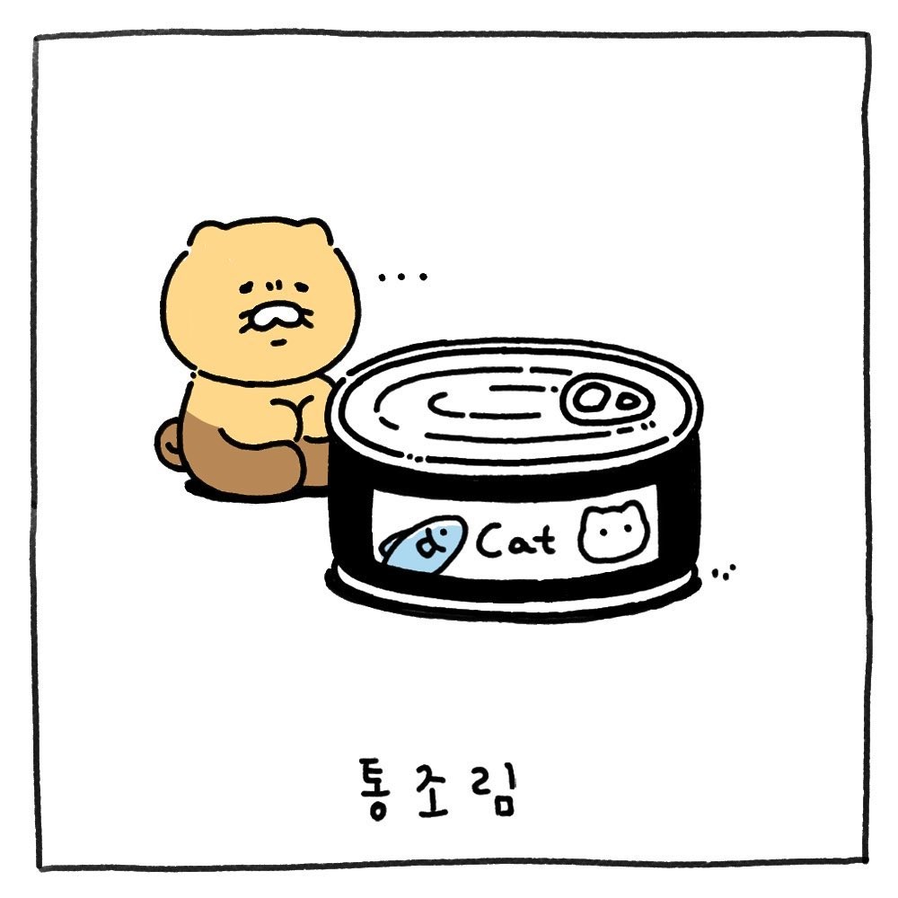 Kakao Friends Ryan養貓日記 徵求新角色貓咪名字