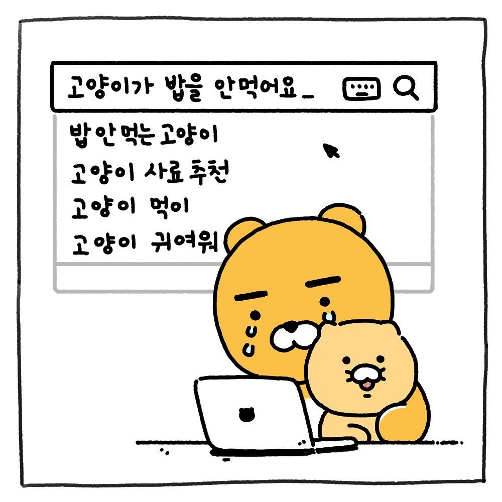 Kakao Friends Ryan養貓日記 徵求新角色貓咪名字