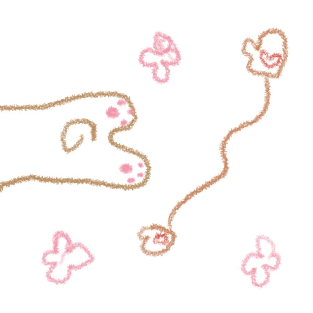 Kakao Friends Ryan養貓日記 徵求新角色貓咪名字