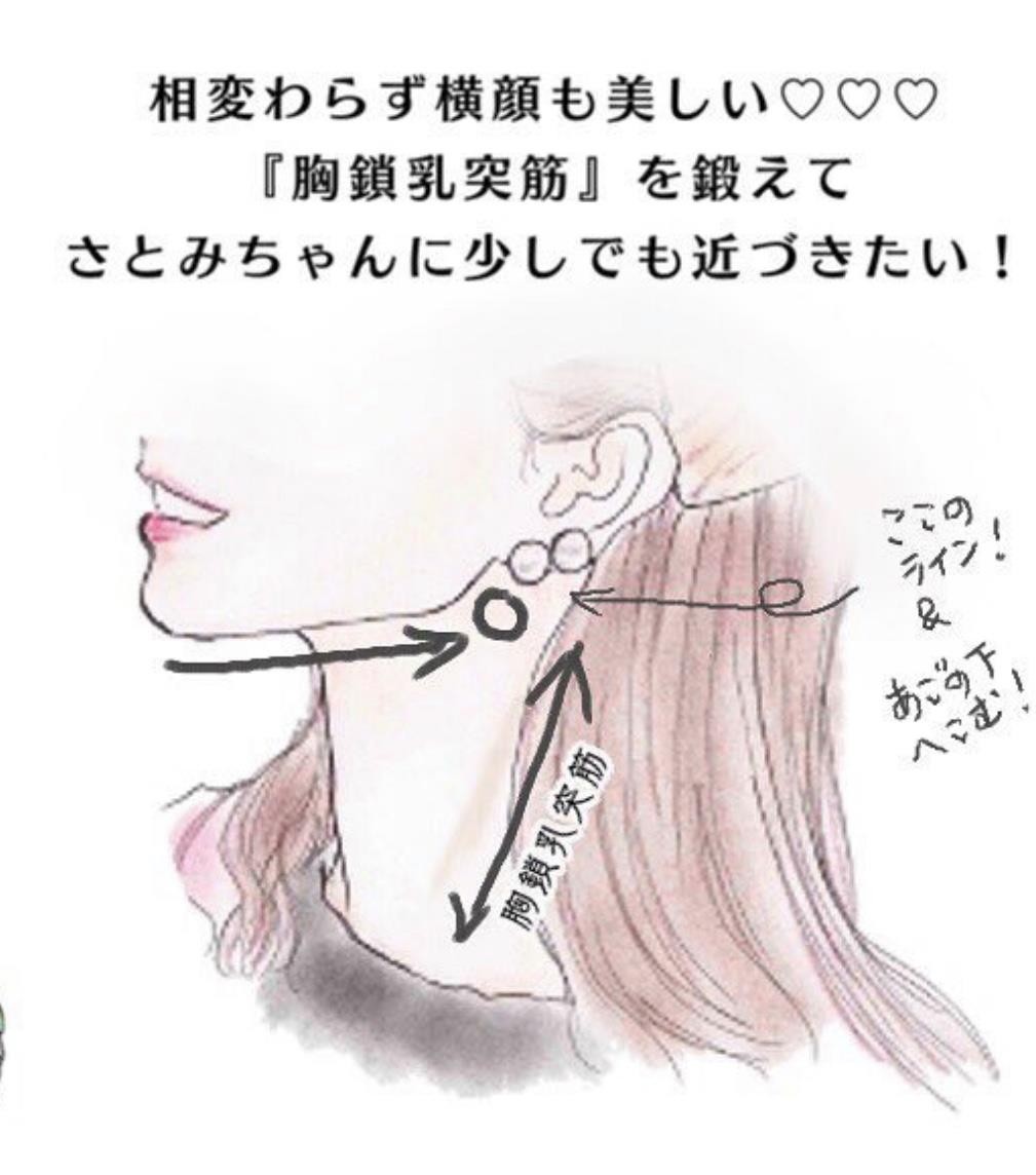 胸鎖乳突肌其實是在頸部中間兩側,又鎖骨開始到頸部的肌肉。只要學習如何訓練這塊經常被忽略的肌肉,再配合訓練背肌,就可以練成俐落瘦削的臉型,很多日本女生都在練喔!